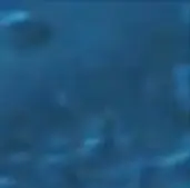 Cobalt Blue metallic epoxy